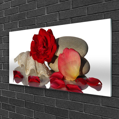 Obraz plexi Ruže plátky mŕtva príroda