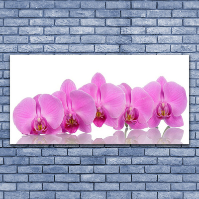 Obraz plexi Ružová orchidea kvety