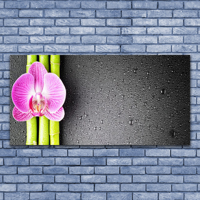 Obraz plexi Bambus kvet orchidea