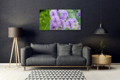 Obraz plexi Fialové kvety lúka