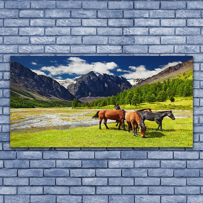 Obraz plexi Hory stromy kone zvieratá