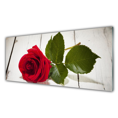 Obraz plexi Ruže kvet rastlina