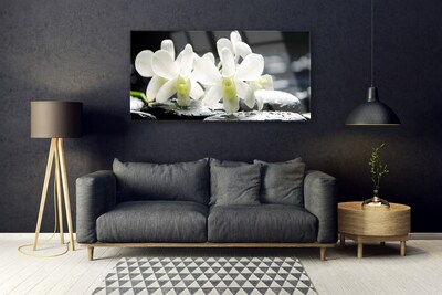 Obraz plexi Kamene kvety orchidea