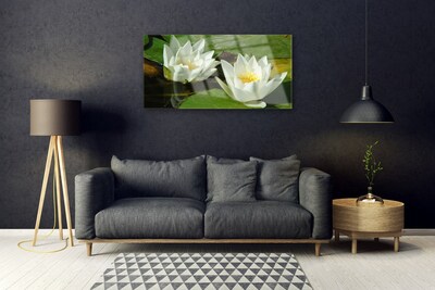 Obraz plexi Kvety rastliny príroda