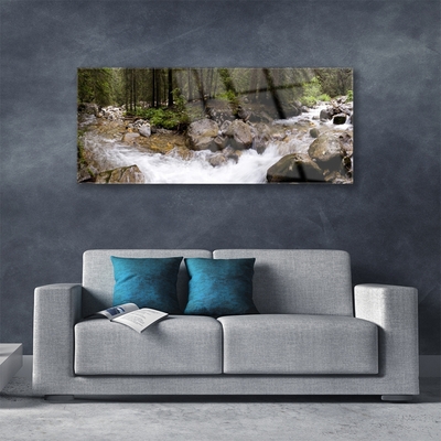 Obraz plexi Les rieka vodopády