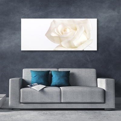 Obraz plexi Ruže kvety