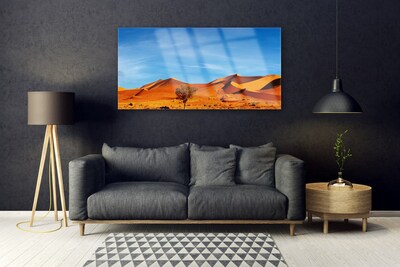 Obraz plexi Púšť krajina