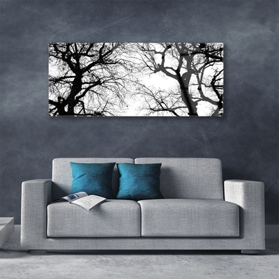 Obraz plexi Stromy príroda čiernobiely