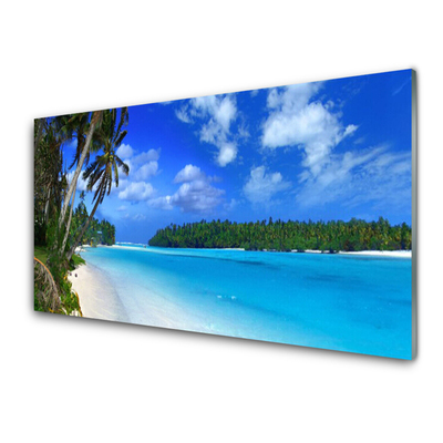 Nástenný panel  Pláž palmy more krajina