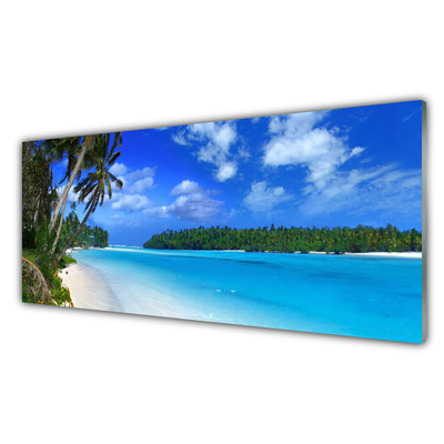 Nástenný panel  Pláž palmy more krajina