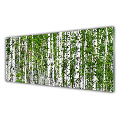 Nástenný panel  Breza les stromy príroda