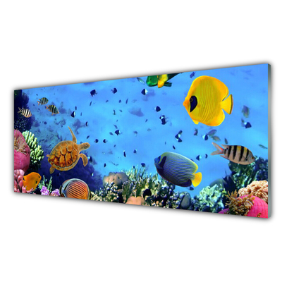 Nástenný panel  Koralový útes ryba príroda