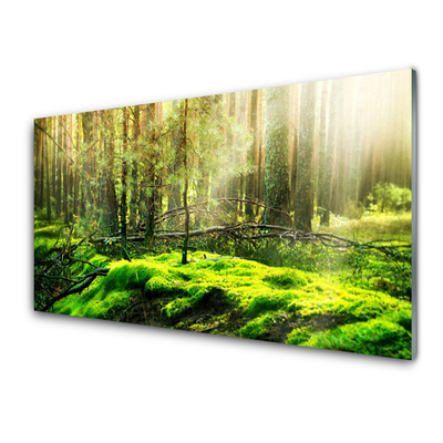 Nástenný panel  Mech les príroda
