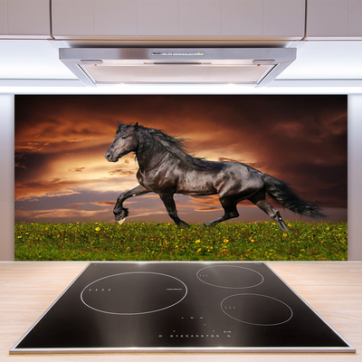 Nástenný panel  Čierny kôň lúka zvieratá