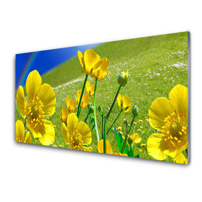 Nástenný panel  Lúka kvety dúha príroda