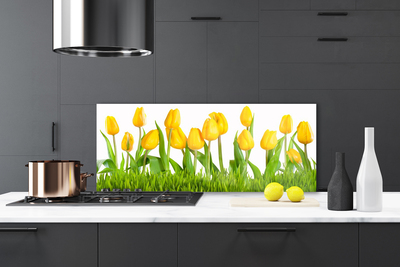 Nástenný panel  Tulipány