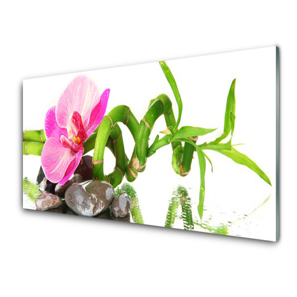Nástenný panel  Kvet rastlina príroda