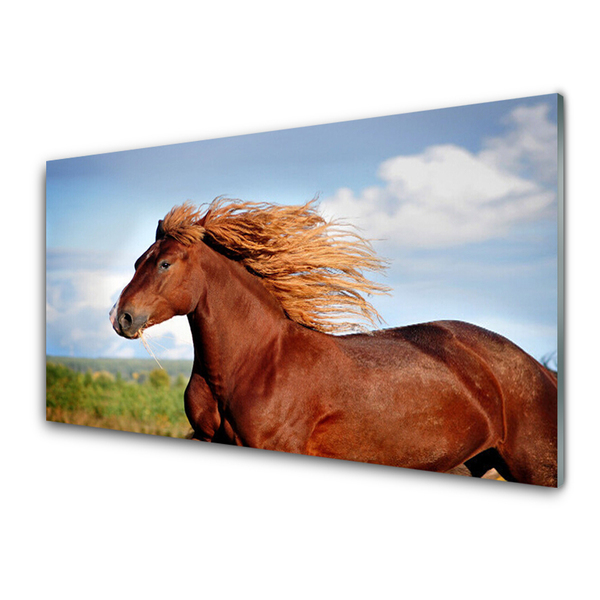 Nástenný panel  Kôň zvieratá