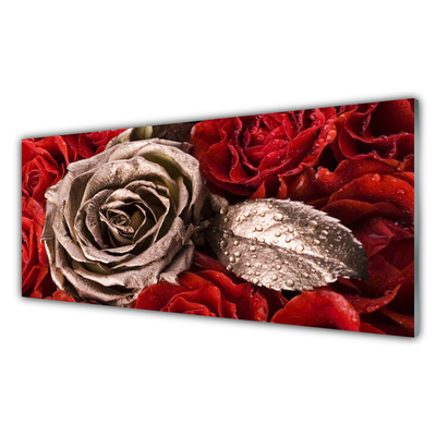 Nástenný panel  Ruže kvety