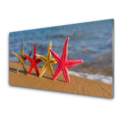 Nástenný panel  Pláž hviezdice umenie