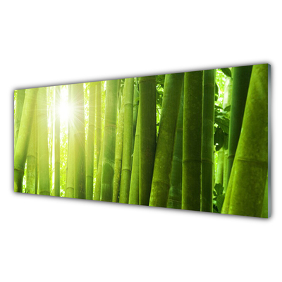 Nástenný panel  Bambus rastlina