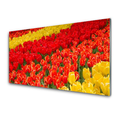 Nástenný panel  Tulipány kvety