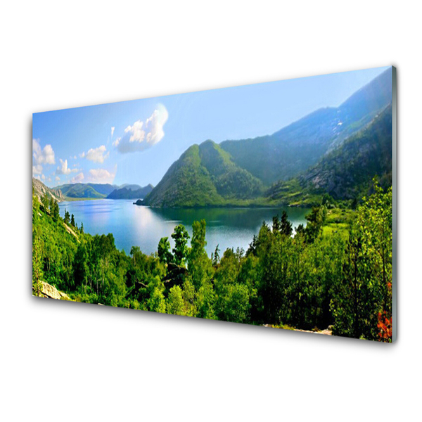 Nástenný panel  Les jazero hory príroda