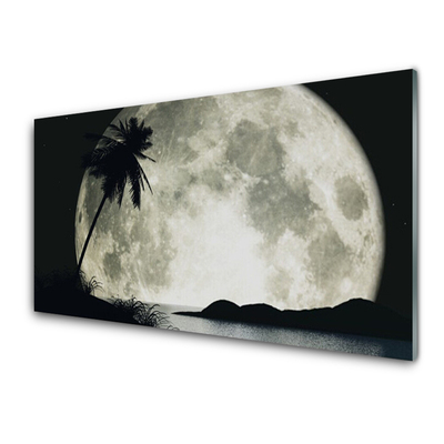 Nástenný panel  Noc mesiac palma krajina