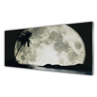 Nástenný panel  Noc mesiac palma krajina