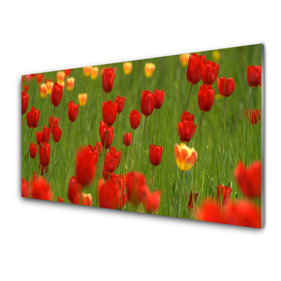 Nástenný panel  Tulipány rastlina