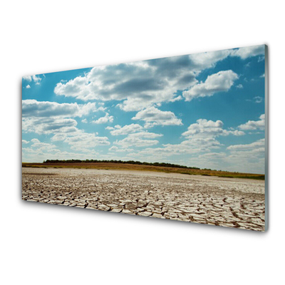 Nástenný panel  Púšť krajina