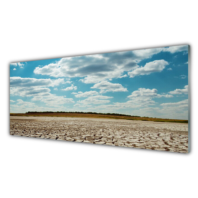 Nástenný panel  Púšť krajina
