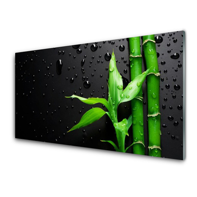 Nástenný panel  Bambus listy rastlina