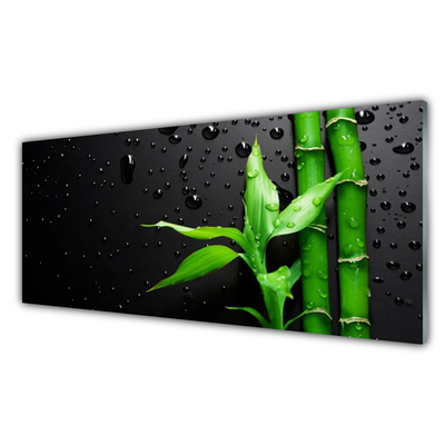 Nástenný panel  Bambus listy rastlina