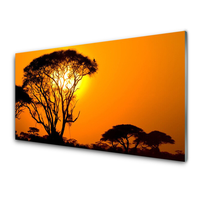 Nástenný panel  Strom slnko príroda