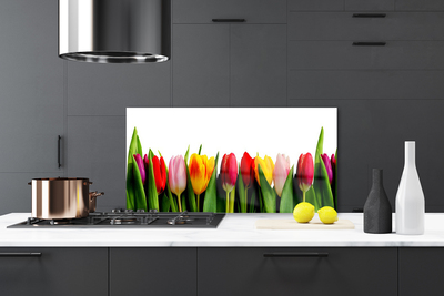 Nástenný panel  Tulipány rastlina