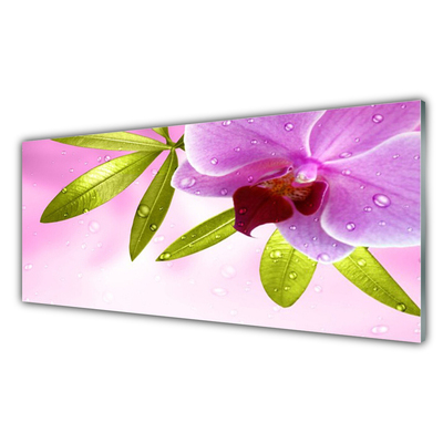 Nástenný panel  Kvet listy rastlina