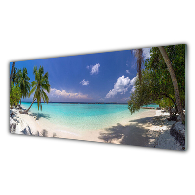 Nástenný panel  More pláž palma krajina