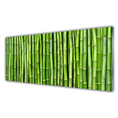Nástenný panel  Bambus kvet rastlina