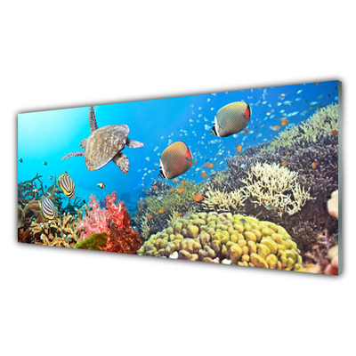 Nástenný panel  Koralový útes krajina