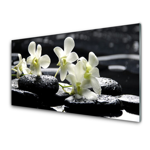Nástenný panel  Kvet kamene rastlina