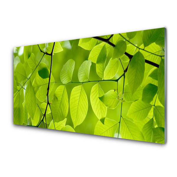 Nástenný panel  Listy príroda rastlina