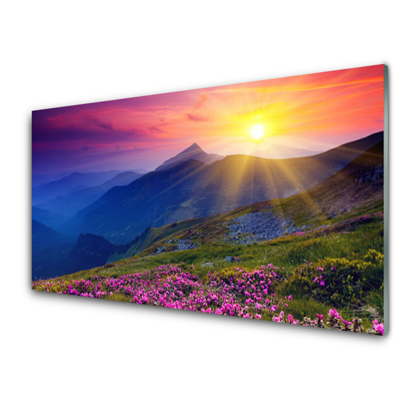 Nástenný panel  Hory kvet lúka krajina