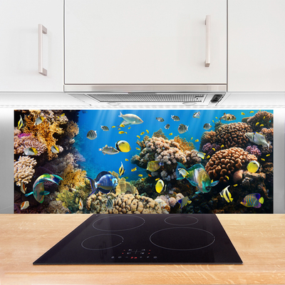 Nástenný panel  Koralový útes príroda
