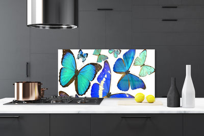 Nástenný panel  Motýle príroda