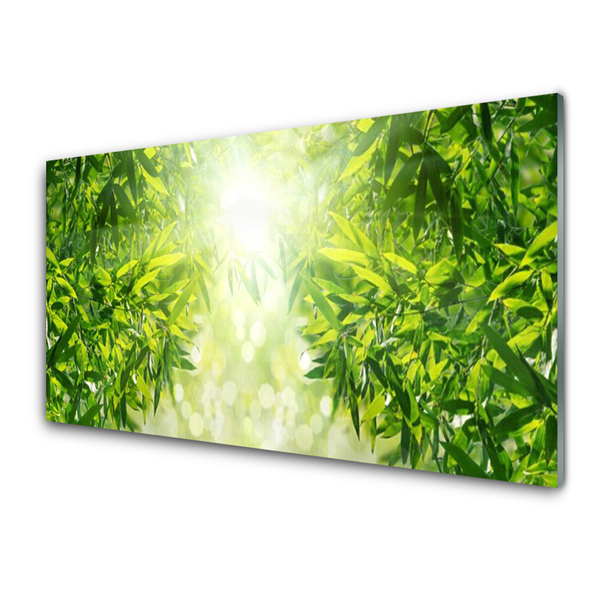 Nástenný panel  Listy príroda rastlina