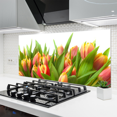 Sklenený obklad Do kuchyne Tulipány kvety rastlina