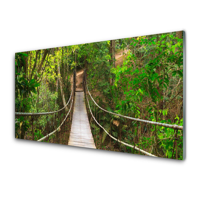 Sklenený obklad Do kuchyne Most džungľa tropický les