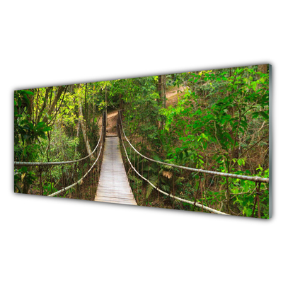 Sklenený obklad Do kuchyne Most džungľa tropický les