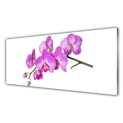 Sklenený obklad Do kuchyne Vstavač orchidea kvety